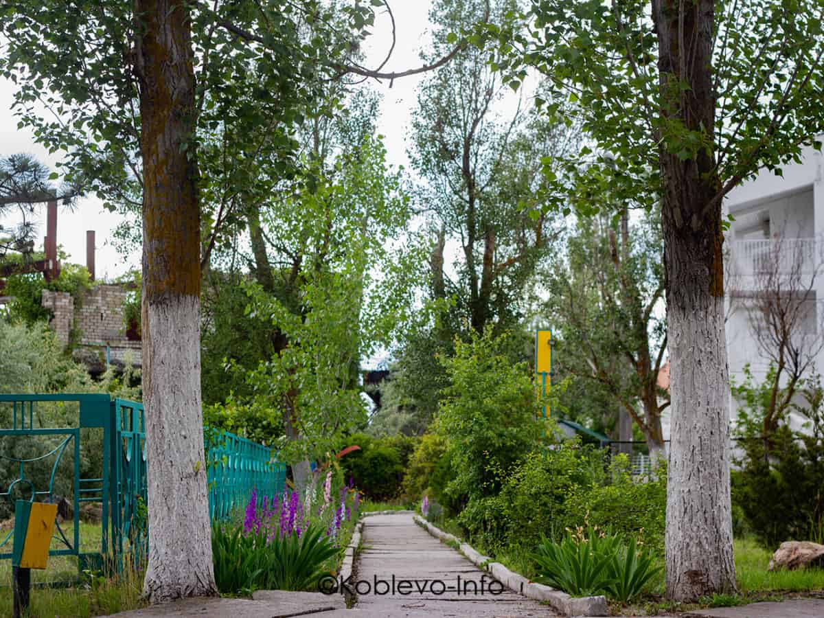 Цены на жилье в Коблево