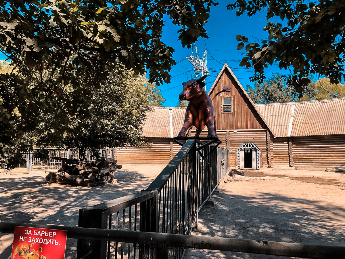 Вольер для рогатого скота в Николаевском зоопарке