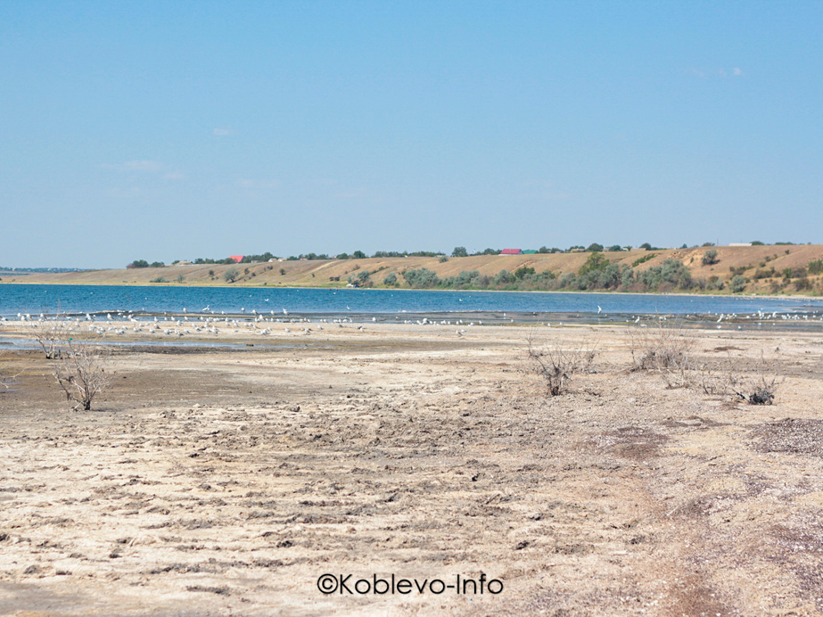 Фото Тилигульского лимана летом
