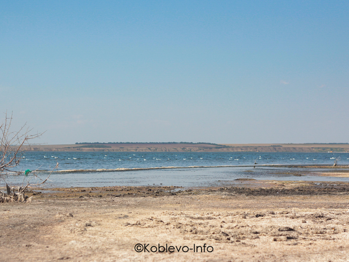 Как доехать до Тилигульского лимана