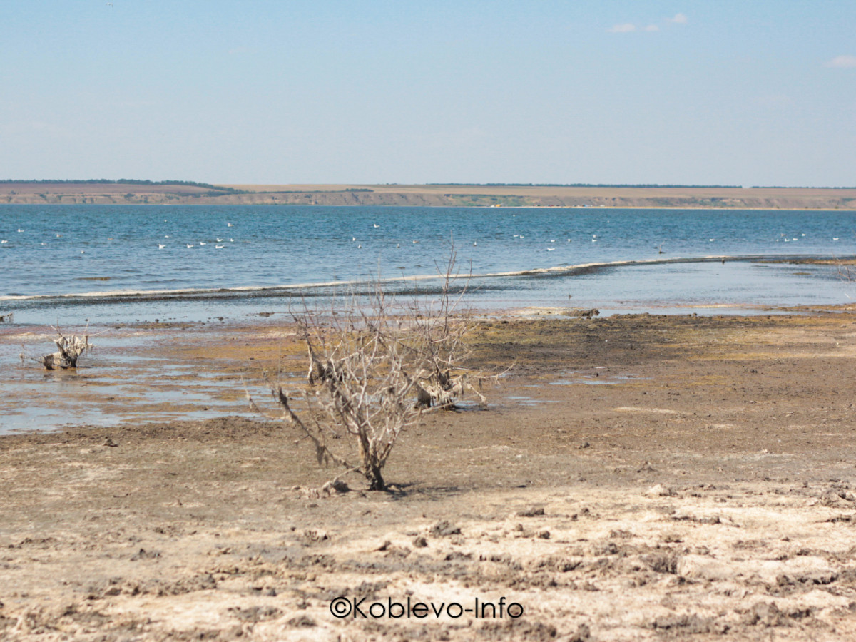 Поехать на Тилигульский лиман
