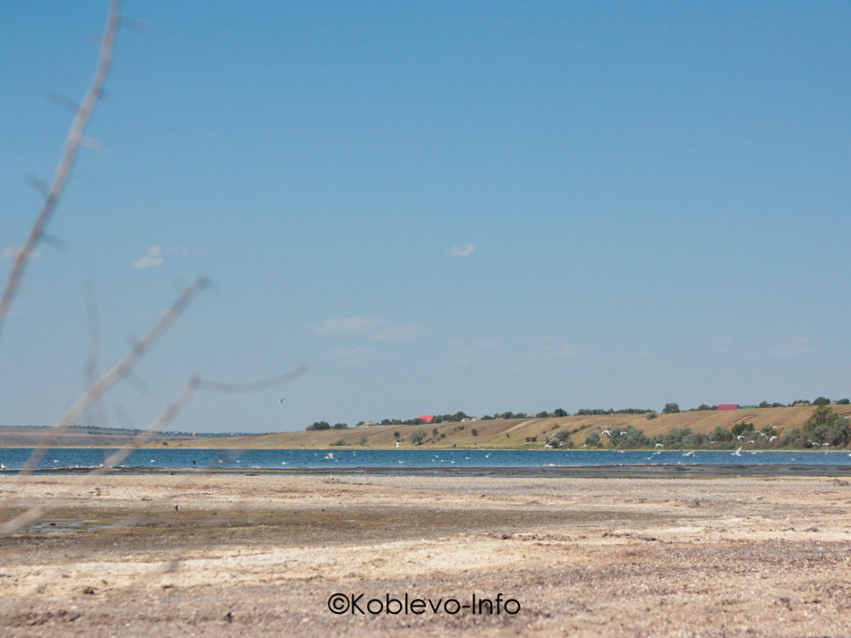 Отдых с оздоровлением в Коблево