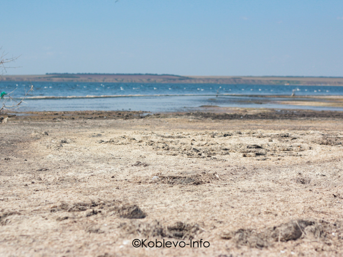 Цена экскурсии на Тилигульский лиман