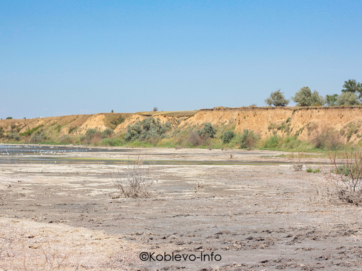 Экскурсии Коблево