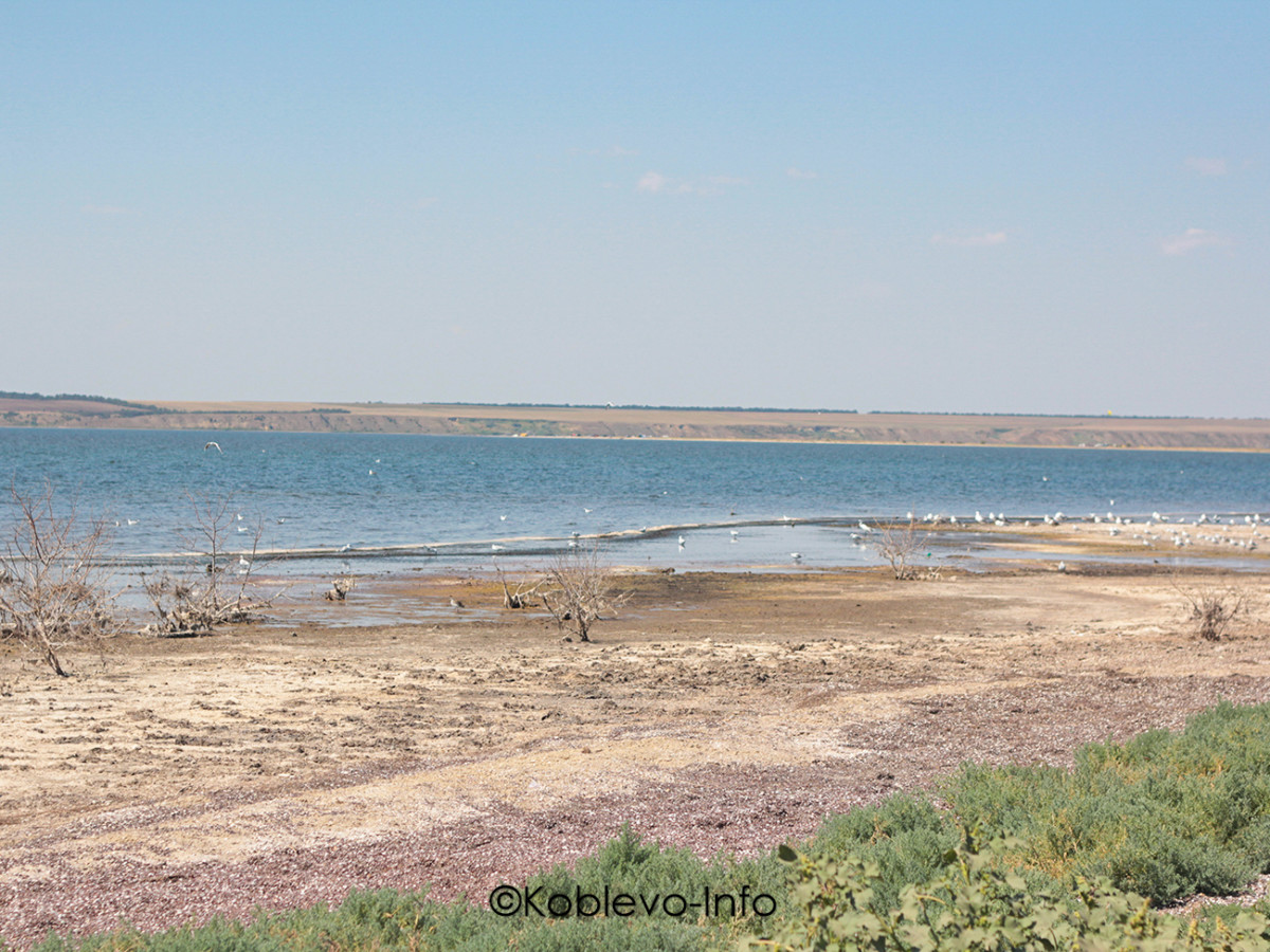 Грязелечение на Тилигульском лимане в Коблево
