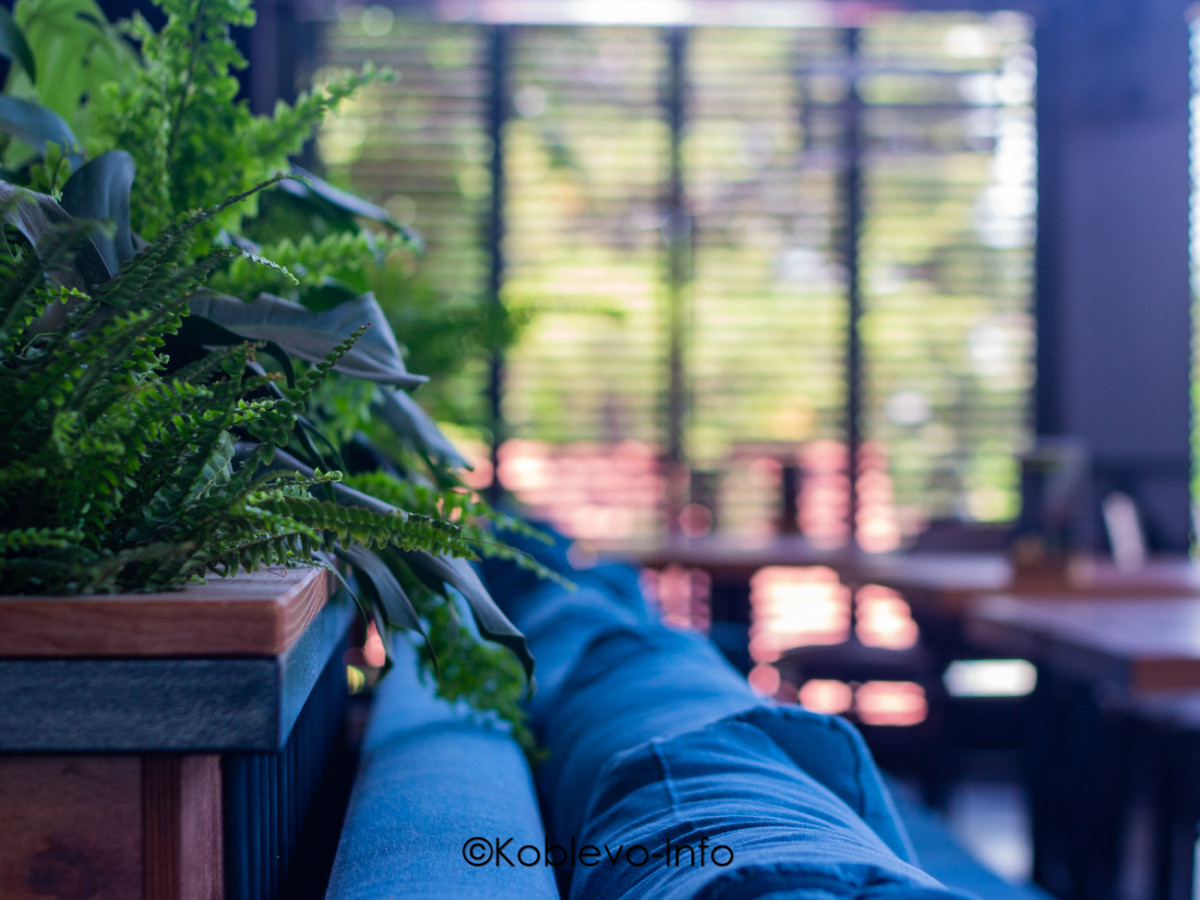 Где поесть в Коблево летом