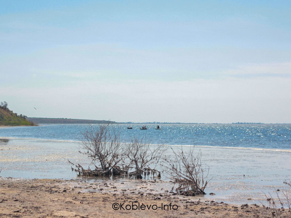 Заказать экскурсию на Тилигульский лиман