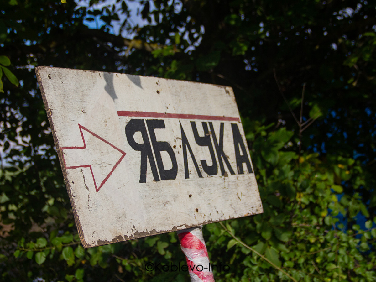 Цены на экскурсии Коблево