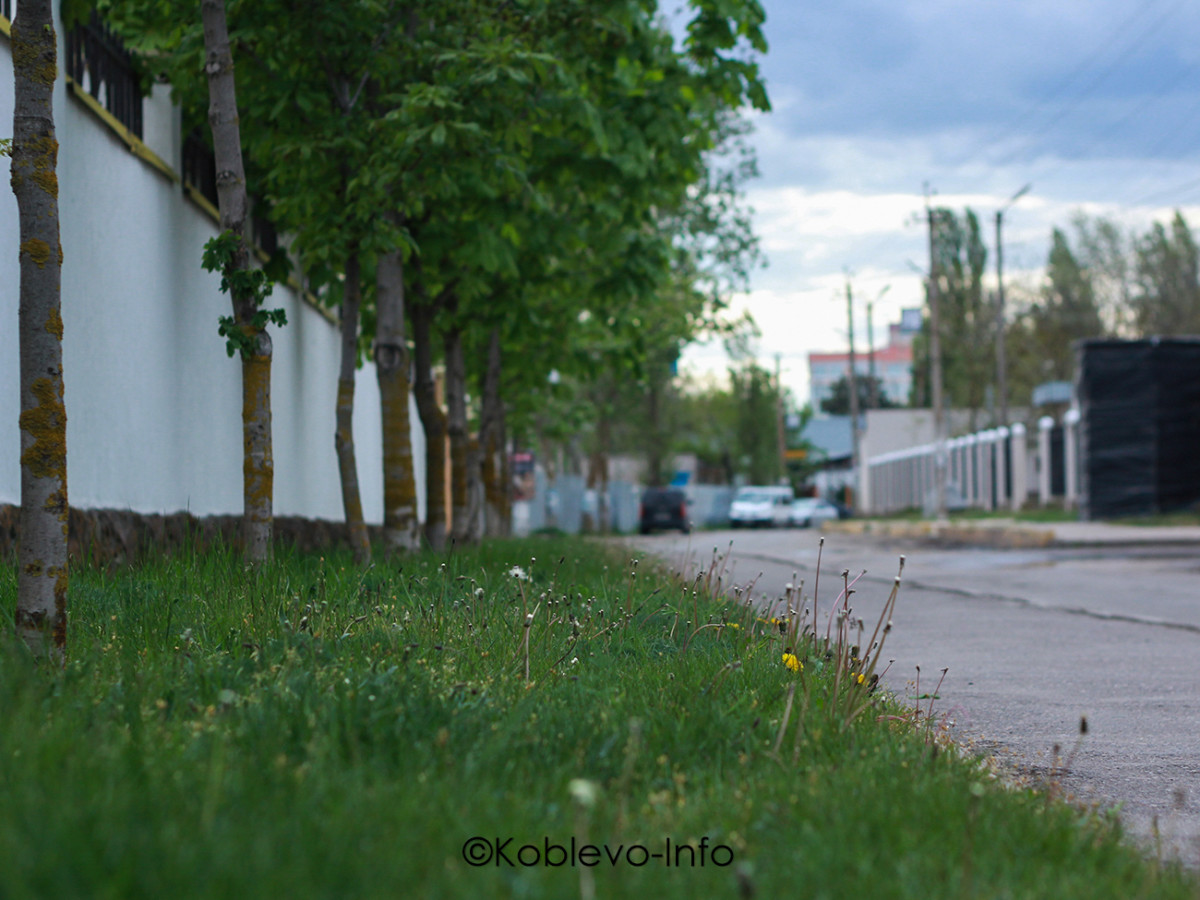 Курортный проспект в Коблево