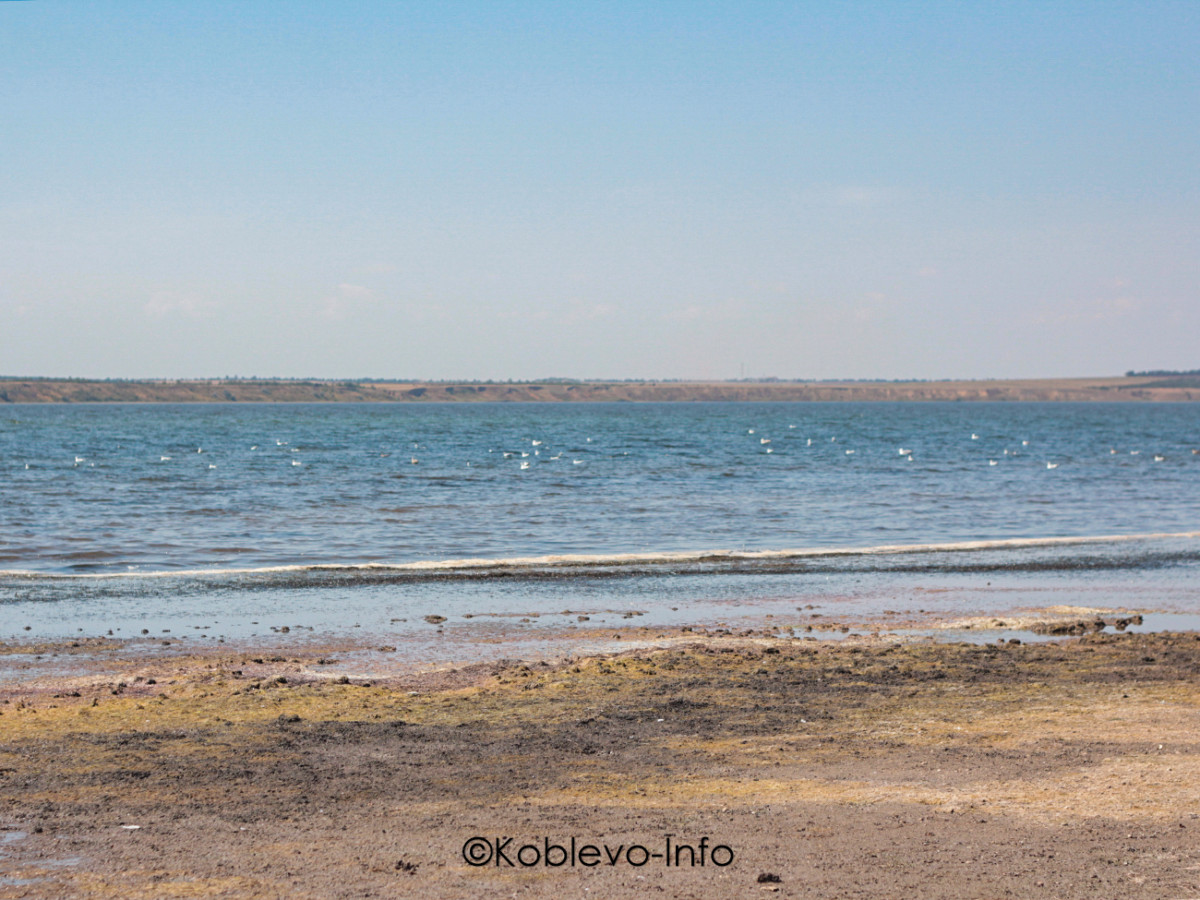 Тилигульский лиман в Коблево фото