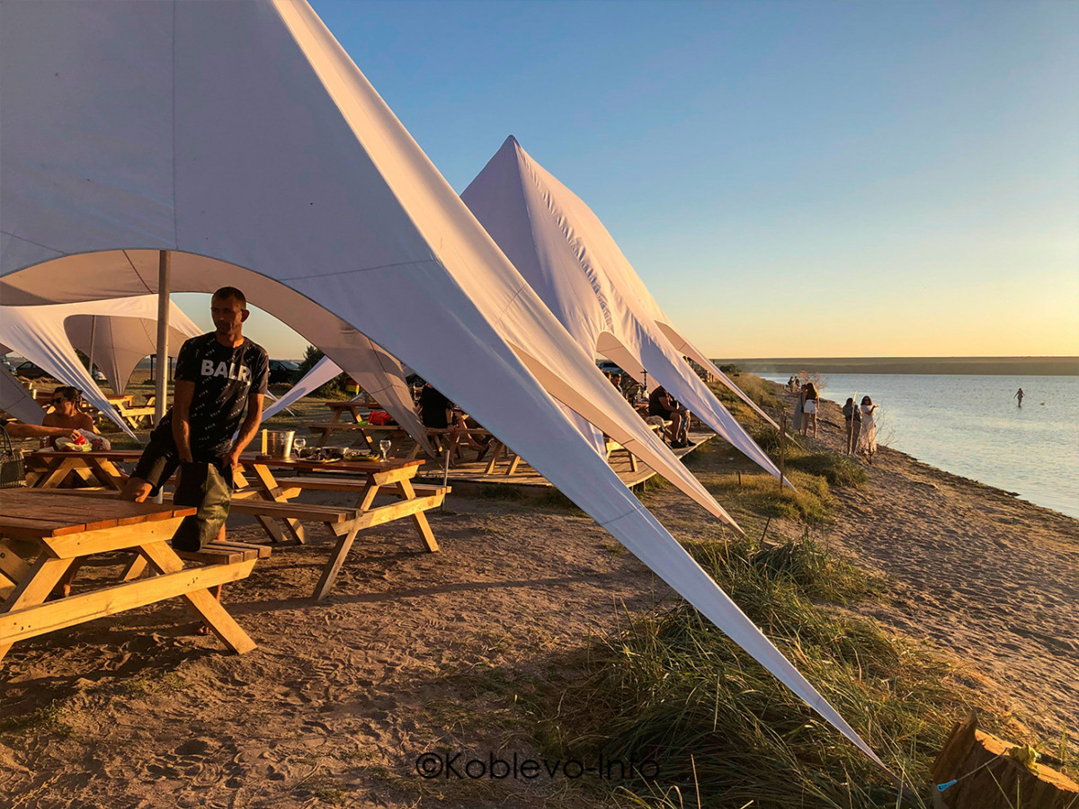 Устрицы Скифии в Коблево