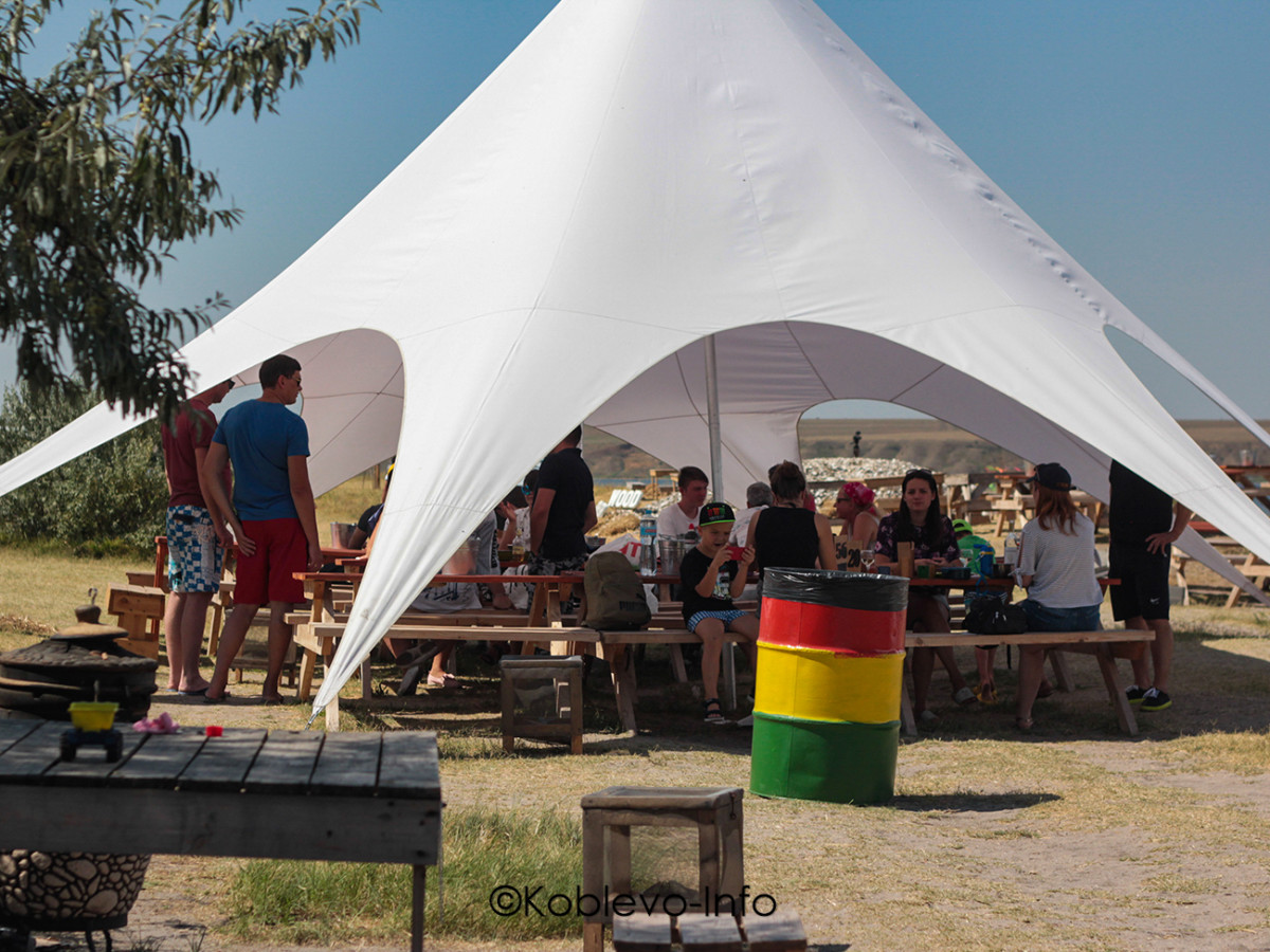 Устрицы Скифии в Коблево летом