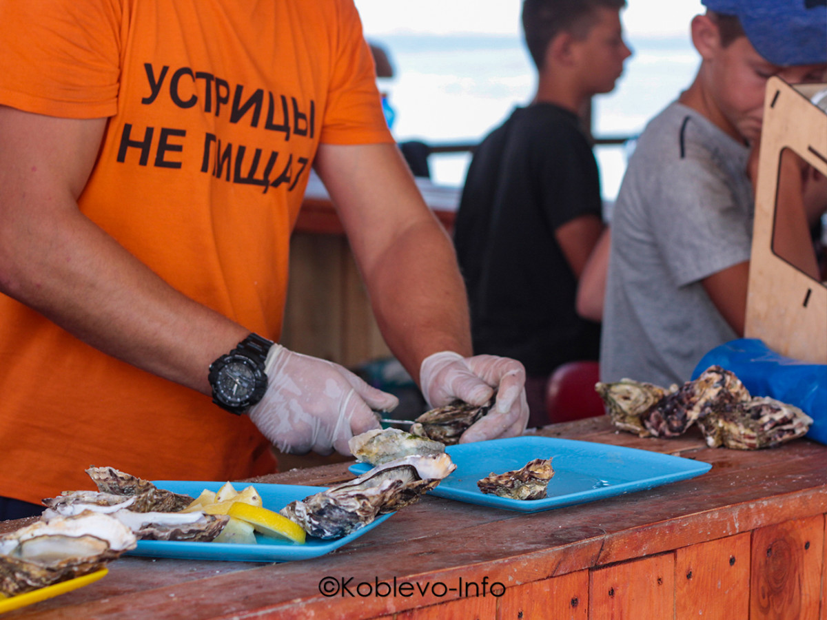 Посетить устричную ферму в Коблево