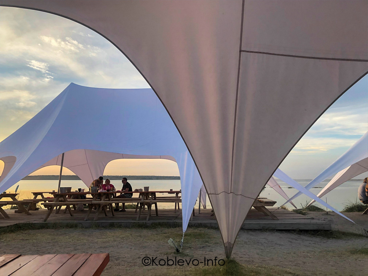 Поехать на устричную ферму в Коблево