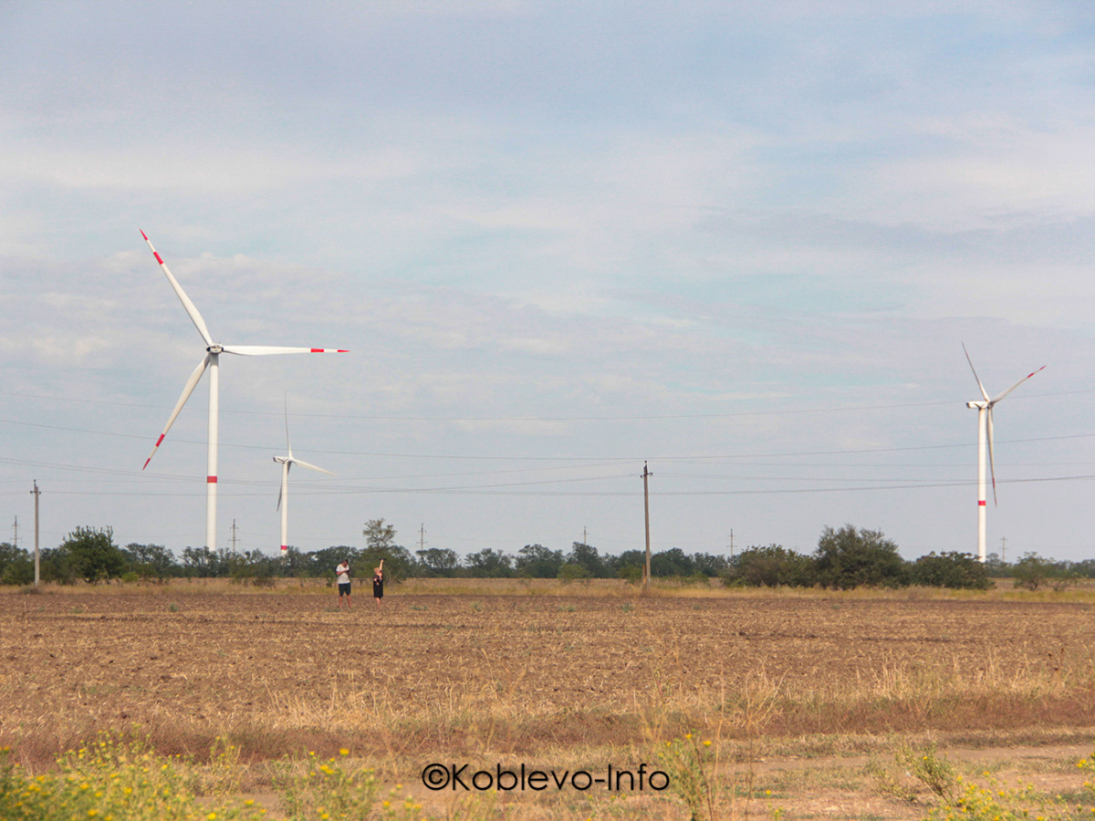 Фото ветряной электростанции в селе Тузлы