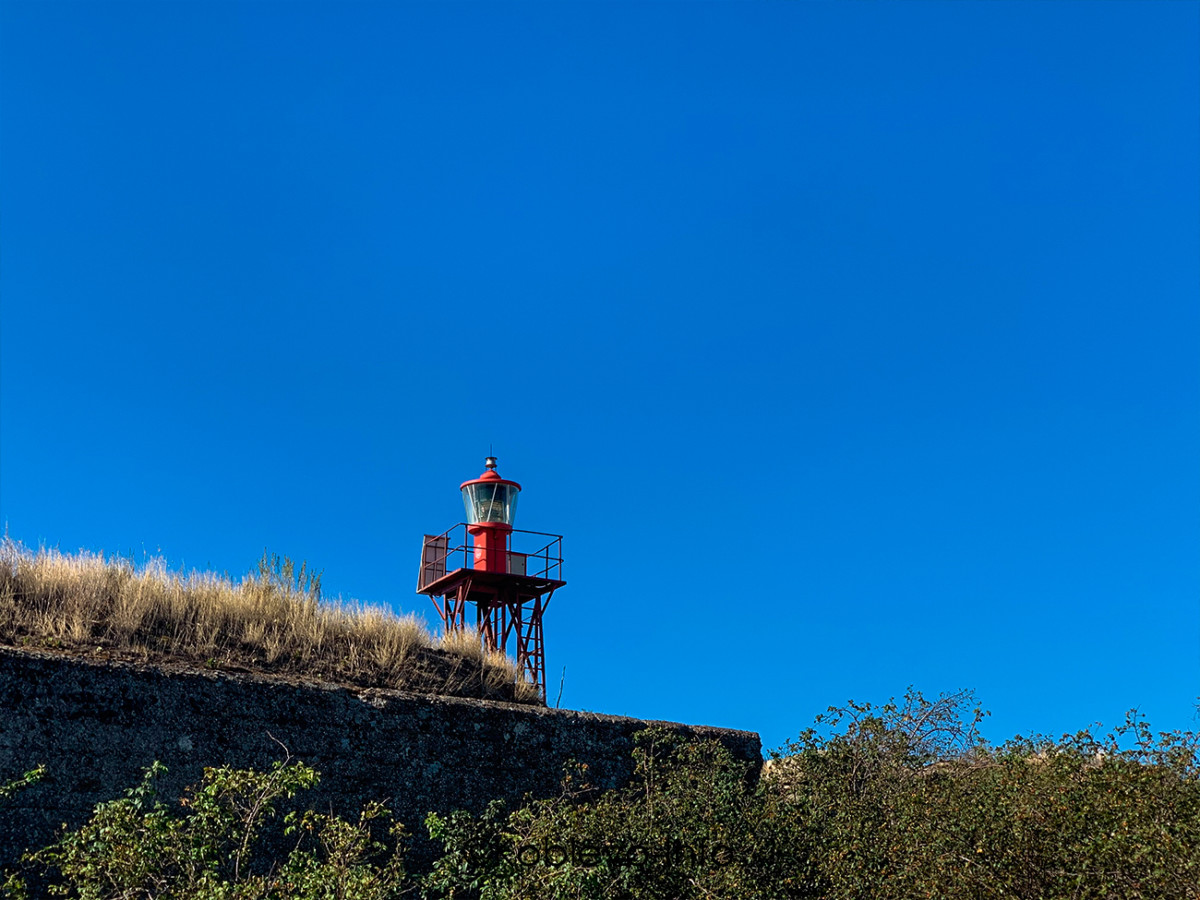 Экскурсии на остров Березань летом