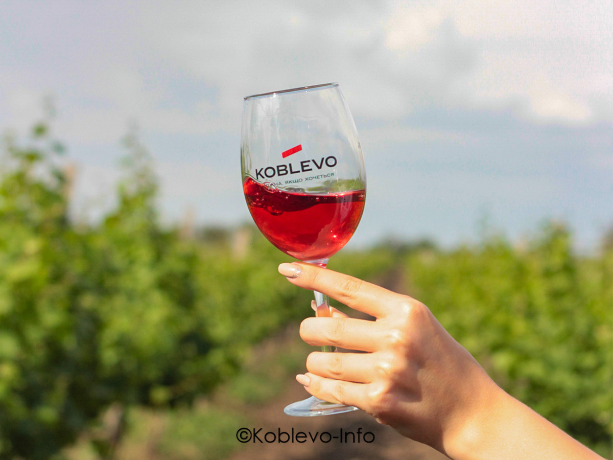 Заказать экскурсию на завод Дом вина Коблево