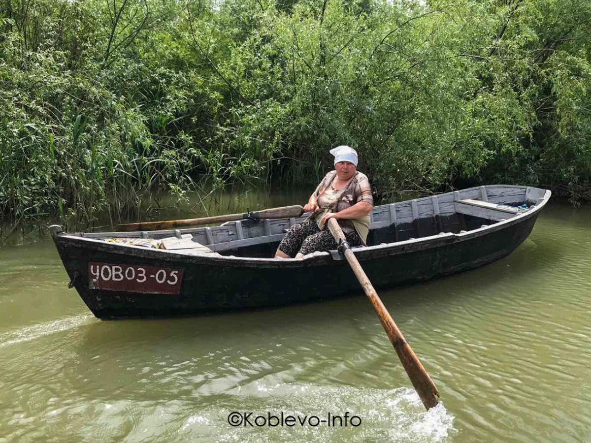 Вилково в Одесской области