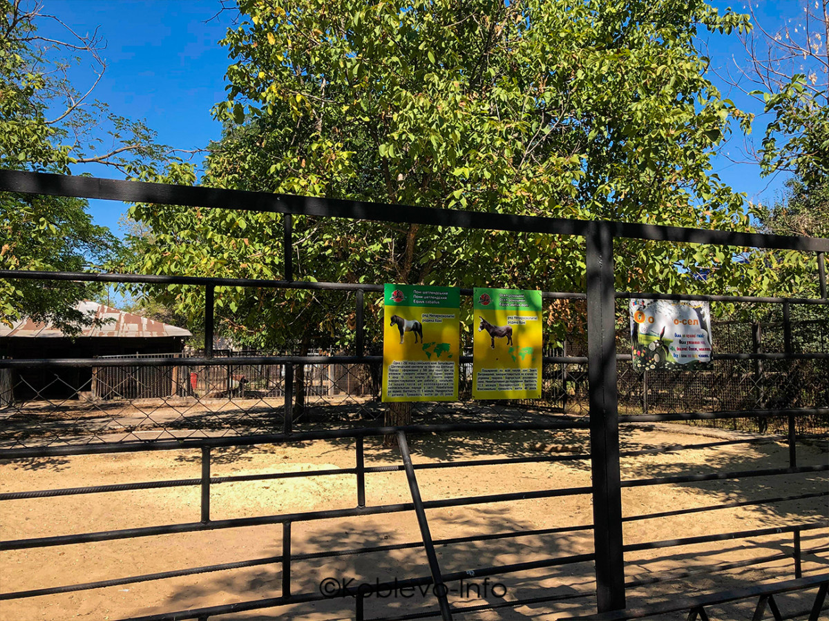 Какие можно заказать экскурсии в Коблево