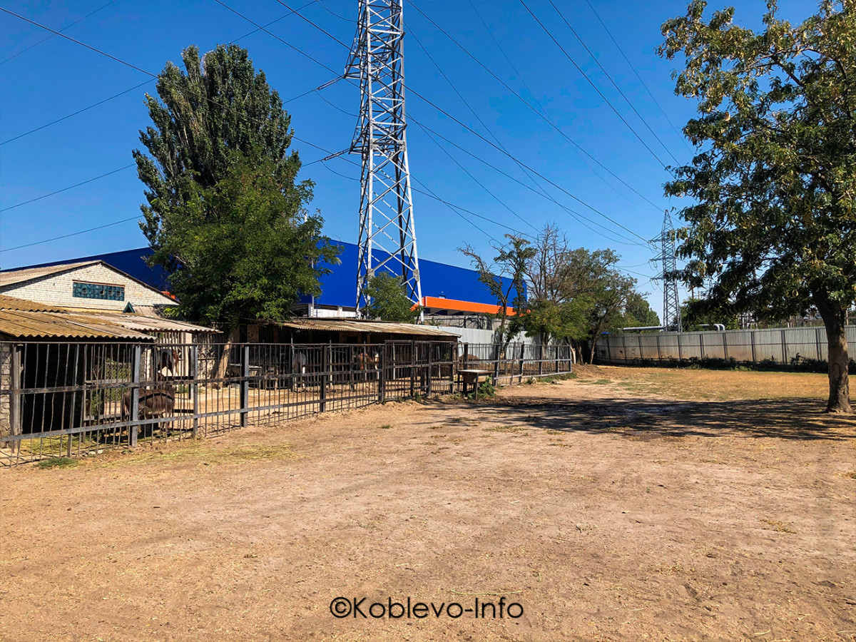 Экскурсии для детей и взрослых в Коблево