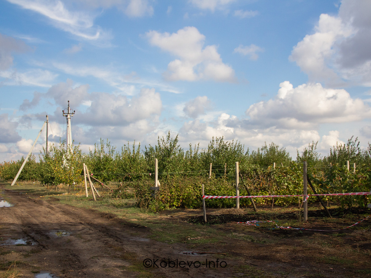 Заказать экскурсию Коблево