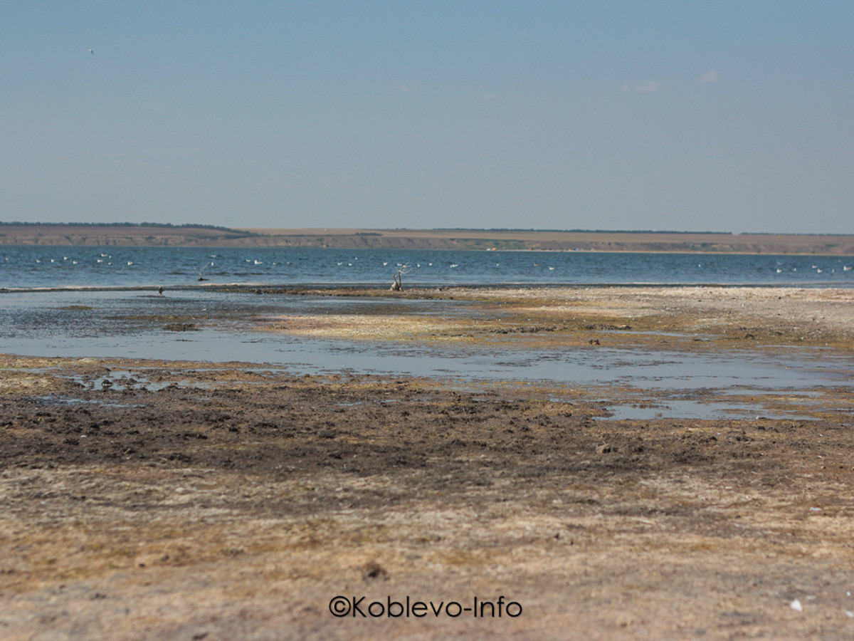 Грязь наполнена огромным количеством минеральных веществ в Коблево