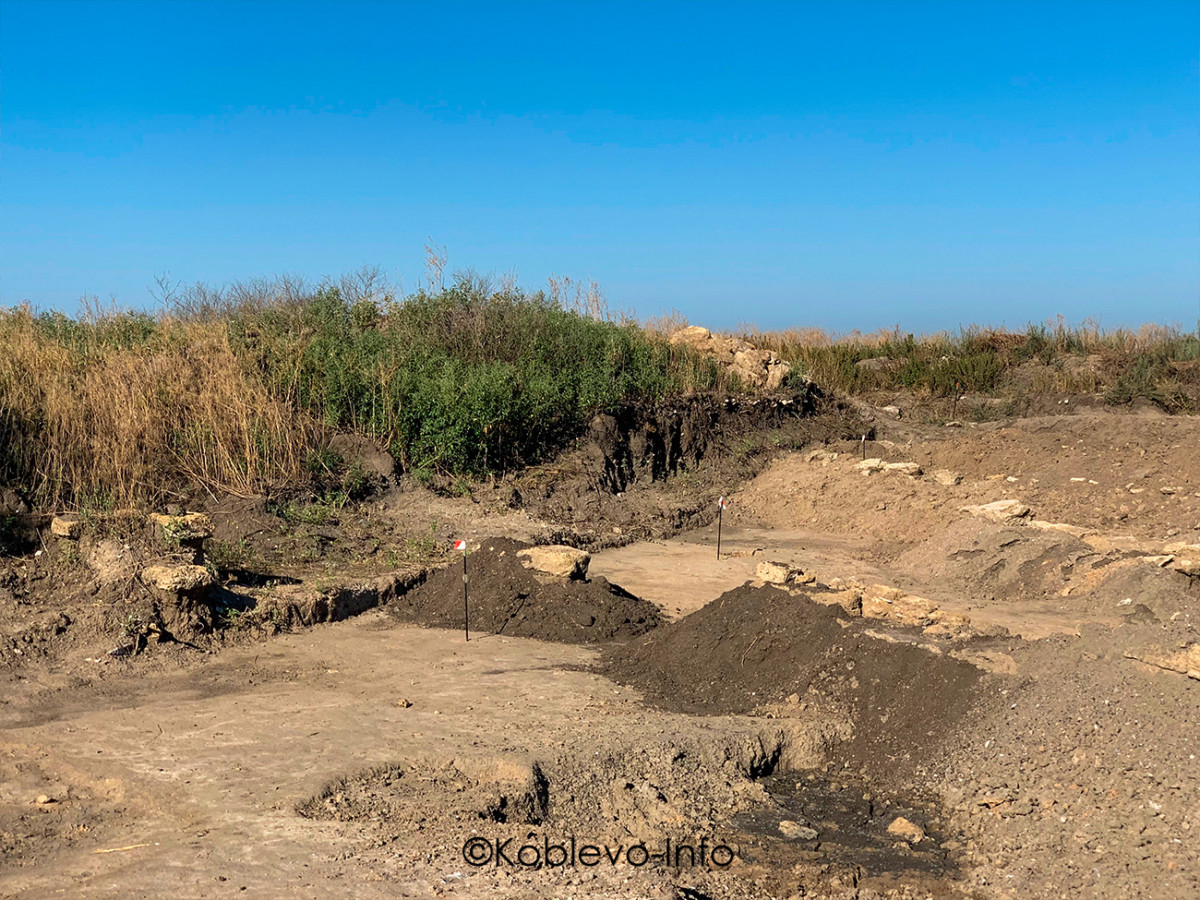 Поехать на экскурсию на остров Березань