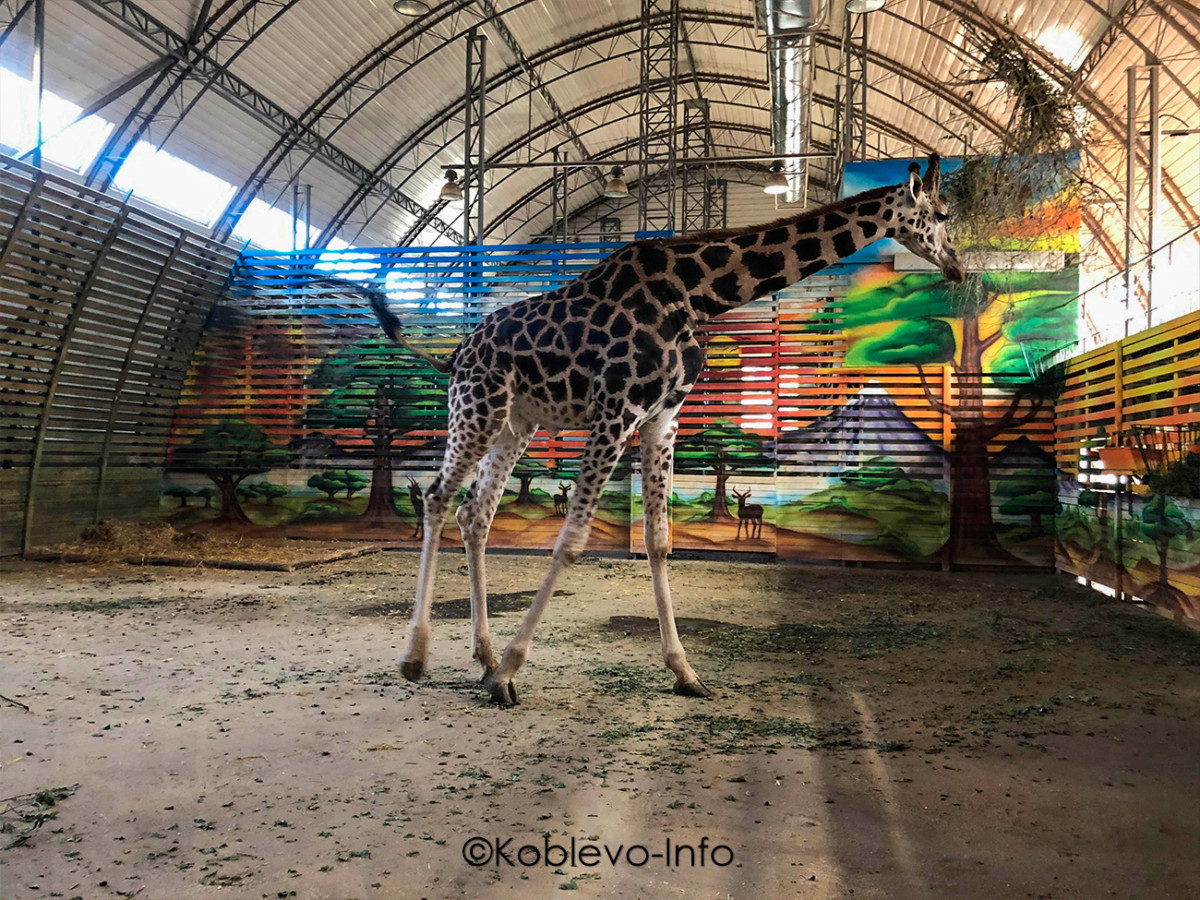 Какие есть семейные экскурсии в Коблево