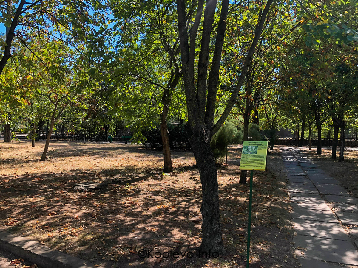 Купить билеты в зоопарк Николаева